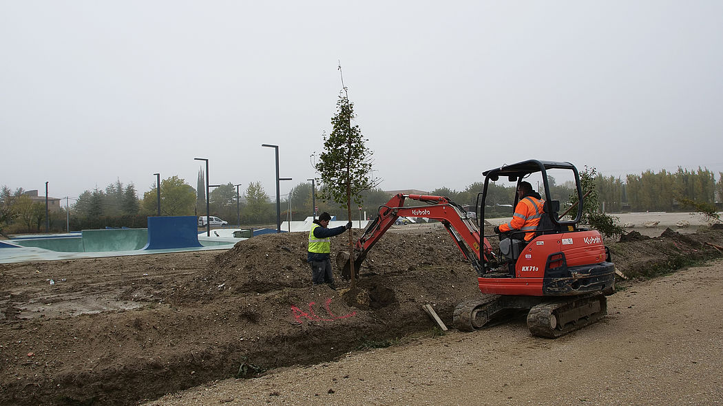 20000 arbres en Vaucluse